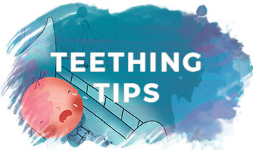 Teething Tips